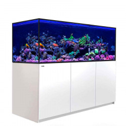 Acuario Reefer S850 G2+ (850 Litros), Red Sea ( Envio gratis )