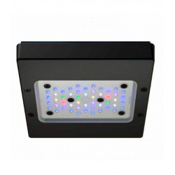 Radion XR15G6 BLUE LED Light